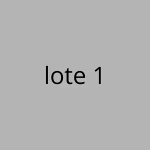 Lote variado 2