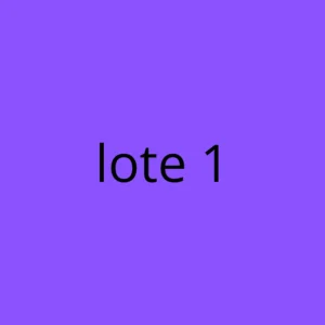 Lote Variado 3