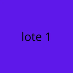 Lote Variado 4