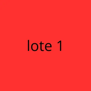 Lote Variado 5