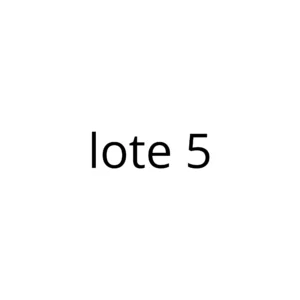Lote 5